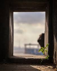 Maritime Legacy: Sewri Fort ...