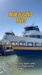 Image result for Dark Blue 1982 Fleet