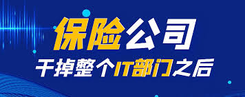 保险公司干掉整个IT部门之后…… 8月26日在2023亚布力论坛上居然之 ...