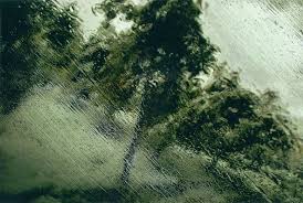 In A Stormy Day Of 2007 Abbas Kiarostami Decided To Escape From Teheran Photo Glass Photo Rain