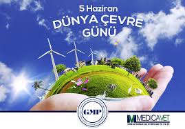 2020 resi̇mli̇ dünya çevre günü mesajlari: Dunya Cevre Gunu Veterinerler Cevre Dunya