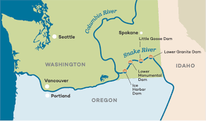 Image result for Federal Yellow 1956 Idaho State of