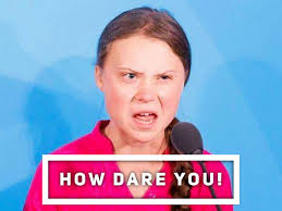 Greta thunberg is a great environmentalist and an even better meme. These Greta Thunberg Office Posters Are Hilarious 2oceansvibe News South African And International News