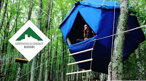 Biccari è un comune della puglia con 2.696 abitanti. Il Bosco Di Biccari Come Nelle Favole Bed Tree Bubble E In Primavera Arriva L Atomo Visit Biccari