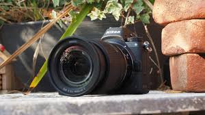 best nikon camera digital camera world