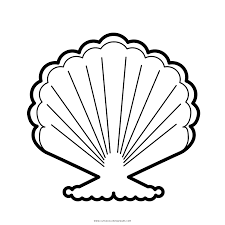 These are great for adults who like to color as well as children. Seashell Coloring Page Ultra Coloring Pages