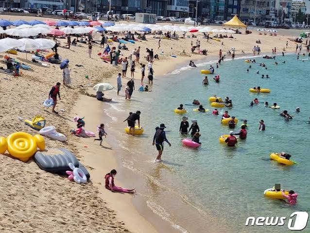 안목해변 커피거리 사진 8