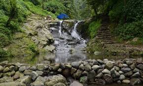 We did not find results for: 20 Air Terjun Curug Di Bogor Paling Hits Dikujungi Itrip