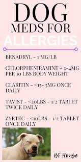 Allergies In Dogs Over The Counter Medications Bf House In 2020 Dog Allergies Meds For Dogs Allergy Medication