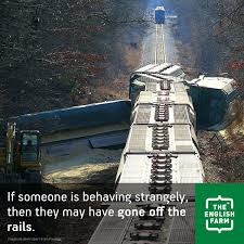 To be crazy, eccentric, or mentally unhinged. Go Off The Rails The English Farm
