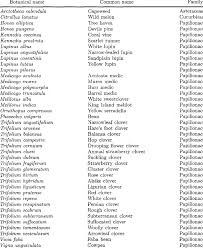 Acacias are soft, yellow flowers that tend to be fluffy. Botanical And Common Names Of Plants Named In The Text Download Table