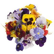 Buy Edible Pansy Flowers Online Uk Edible Flowers Pansies Flowers Pansies