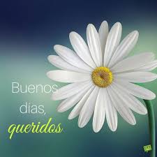 Sheridan's voice floated down the stairs. A Very Spanish Good Morning Buenos Dias Buenos Dias Amor Mejor Juntos Buongiorno