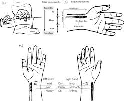 Non Invasive Holistic Health Measurements Using Pulse