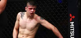 Brandon the assassin baby moreno is a mexican professional mixed martial artist in the ufc flyweight division. Figueiredo V Moreno Betting Odds And Predictions Ufc 256 Tips