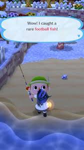 This creature may be sold directly from the inventory, listed in the player's market box, or given to villagers for requests. I Caught The Football Fish Animalcrossing