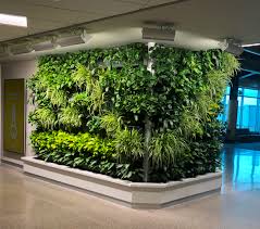 1 plant wall in the interior without lamps. Livewall Living Wall Brings Natural Beauty And Calm To The Tsa Checkpoint At Appleton International Airport Atw Greenroofs Com