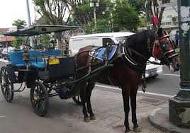 Check spelling or type a new query. Andong Transportasi Wisata Kota Yogyakarta Yang Menarik Wisatawan Theindonesiaadventure Com