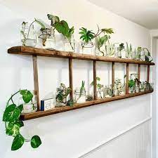 56plants On Instagram Propagation Station Inspo Post By Theplantshack Lazyg House Plants Decor Plant Decor Indoor House Plants Indoor