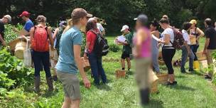 2026 Herbal Medicine Making Workshop at...