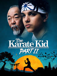 Movie with karate revenge plot?