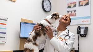 Address, contact information, & hours of operation for banfield locations in massachusetts. Veterinarians In Newton Ma Banfield Pet Hospital
