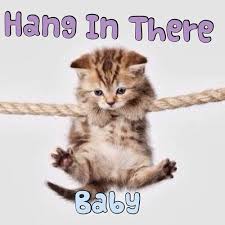 Ah Poor Baby Kitten How Would Someone Just Let It Hang There Animals Cats Animal Drawings