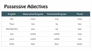 new possessive french adjectives