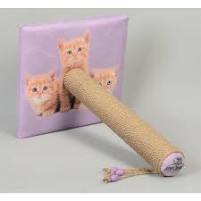kedi tirmalamasinda ne yapilir