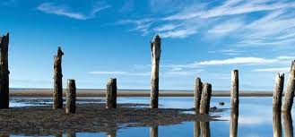 Beau Robert Champion