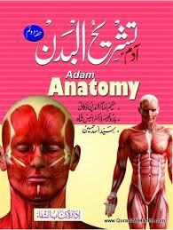 Adam Tashreeh Ul Badan By Hakim Imamuddin Zakai Adam Anatomy Urdu آدم تشریح البدن حکیم Free Ebooks Download Books Books Free Download Pdf Pdf Books Download