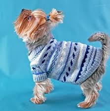 Priceless yorkie puppy exceptional quality is not expensive, it's priceless! Amazon Com Pet Clothes Dog Knit Socks Sweater Set Dog Clothing Puppy Sweater Yorkshire Terrier Clothes Coat Pet Jumper Puppy Xs Outfit Small Handmade