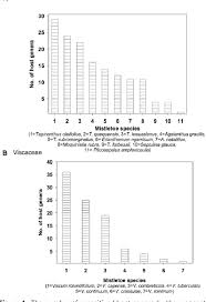 Image result for Plicosepalus amplexicaulis