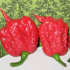 The Big List Of Peppers Stuffed Peppers Stuffed Hot Peppers Hot Pepper Seeds