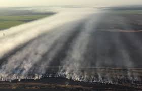 Jun 23, 2021 · a fost o petrecere în aer liber, cu tematică populară, dar și cu piscină pentru cei care au vrut să ducă distracția la un alt nivel. Incendiu La Fermele De Porci De La PeriÈ™ Agroteca