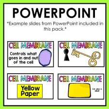 Compared to drawings of cells from earlier in education, the diagrams below look very crowded! Cell Organelles And Their Functions Lesson By Maniacs In The Middle