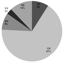 Image result for Triumfetta dekindtiana