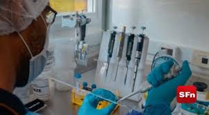 Brasil registra primeiro caso confirmado de variante indiana. Fdgigg3rlvwm