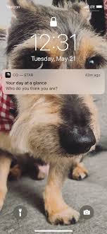 They all have their pros and cons, but it always depends. What Is Co Star Meet Banu Guler Ceo Of The Astrology App