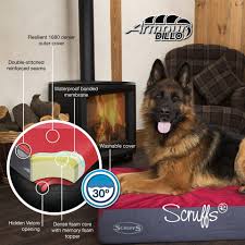 Different great dane dog bed materials. Got A Chewer We Got You Scruffs South Africa Facebook