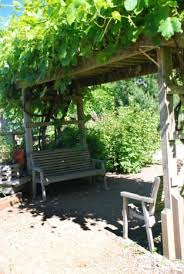 Currently, the best garden trellise is the h potter yard art. Easy Vertical Gardening Ideas For Beginners Dengarden