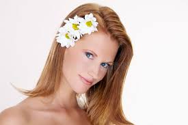 Portrait of a Daisy stock photo. Image of macro, portrait