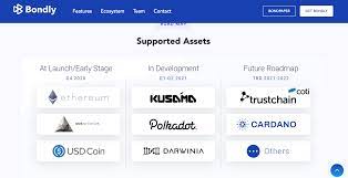 A successful team is a lifeline of any project. Another Project Planning For Cardano In 2021 Cardano