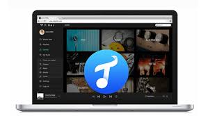The answer is that they are not the same thing. How To Download Tidal Music To Computer Tunepat