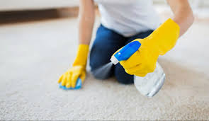Envie de faire le grand ménage ? Comment Nettoyer Un Tapis Nos Conseils Pratiques Meilleuraspirateur Net
