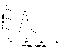 what is beta hcg