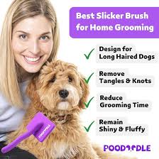 Amazon.com: Poodoodle Dog Slicker Brush, Grooming Tool for Poodle, Doodle,  Goldendoodle & All Long Haired Dogs, Long Pin Wood Brush Pefect for  Dematting & Detangling, Effortless Grooming Pet Hair At Home -