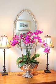 Woven Home Decorating With Orchids Orchid Arrangements Orchid Centerpieces Beautiful Orchids