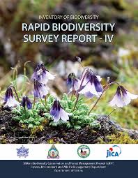 Image result for Sphaeranthus peduncularis