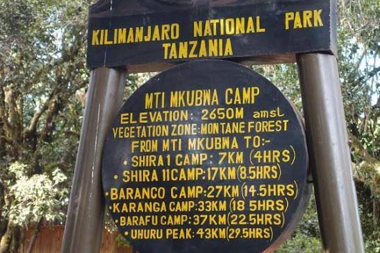 Day 1: Mti mkubwa  – Shira 1 Camp